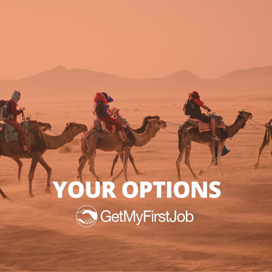 Camels across the desert