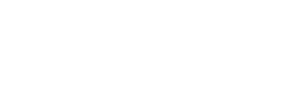 Prime Medica Ltd logo